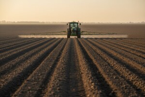 Zaštita graha i graška nakon sjetve