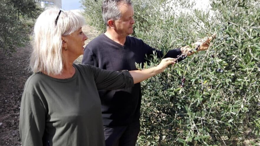 Zaštita izvornosti za "Dalmatinsko maslinovo ulje" i dalje na čekanju, sad već osam godina