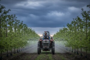 Zaštita jabuka i krušaka