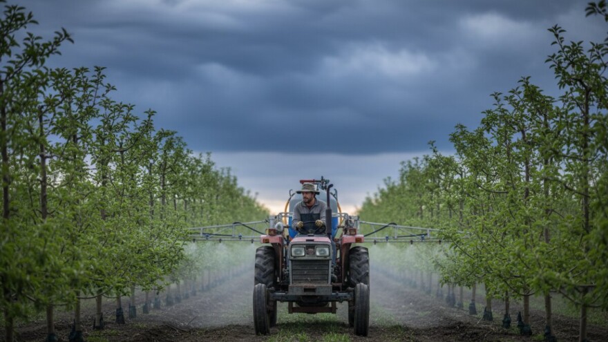 Zaštita jabuka i krušaka