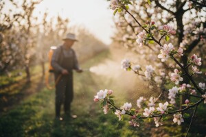 Zaštita jabuka i krušaka
