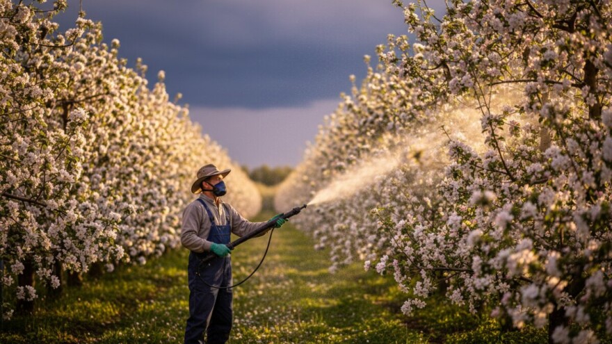 Zaštita jabuka i krušaka