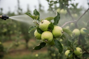 Zaštita jabuka i krušaka