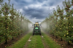 Zaštita jabuka i krušaka prije oborina