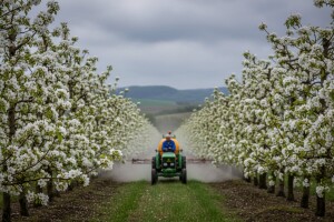 Zaštita jabuka i krušaka u Podravini i Prigorju