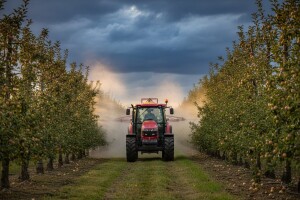 Zaštita jabuka od fuzikladija