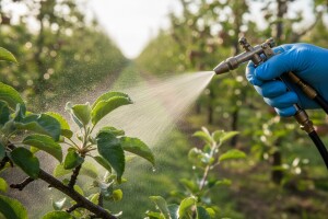 Zaštita jabuka od fuzikladija i pepelnice