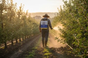 Zaštita jabuka od krastavosti