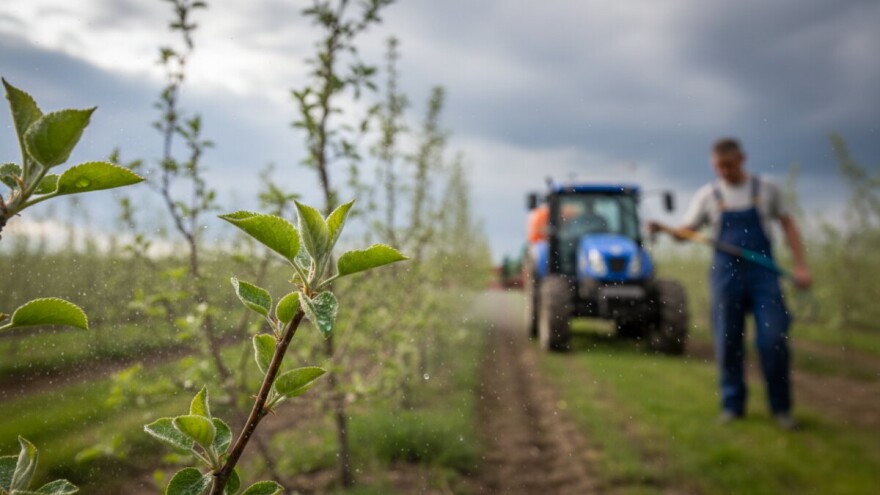 Zaštita jabuke i kruške od krastavosti lista