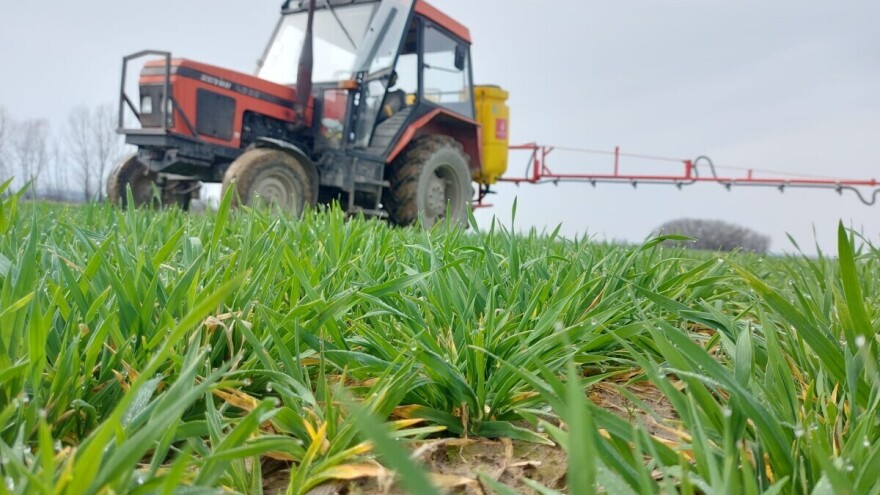 Ove preparate možete koristiti za proljetni tretman ozimih žitarica