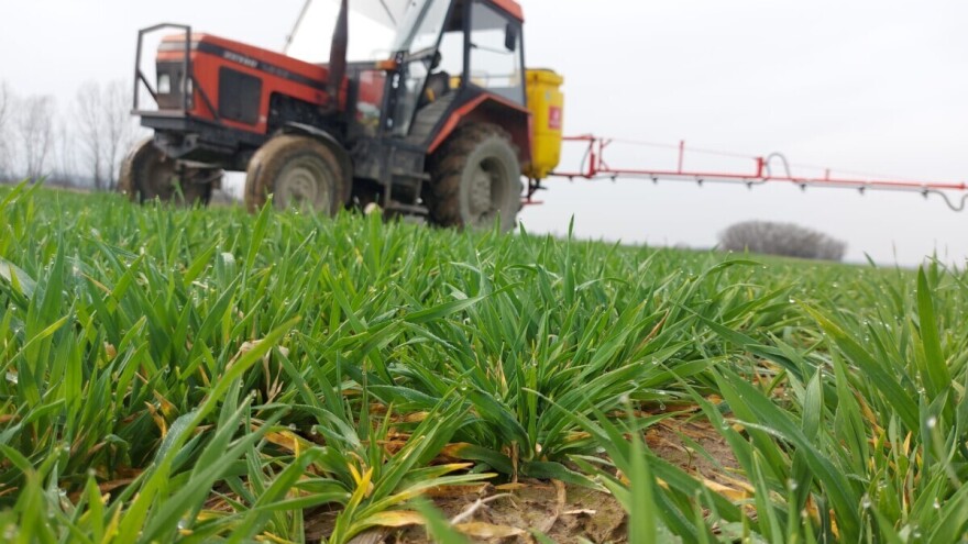 DZS: Vrijednost hrvatske poljoprivredne proizvodnje pala 7,4 posto