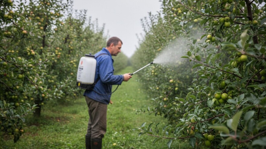 Zaštita jezgričavog i koštičavog voća