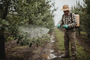 Zaštita jezgričavog i koštičavog voća