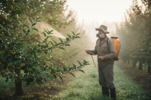 Zaštita jezgričavog i koštičavog voća