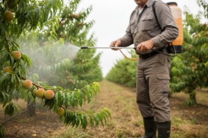 Zaštita koštičavog i jezgričavog voća