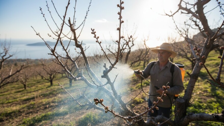 Zaštita koštićavog voća