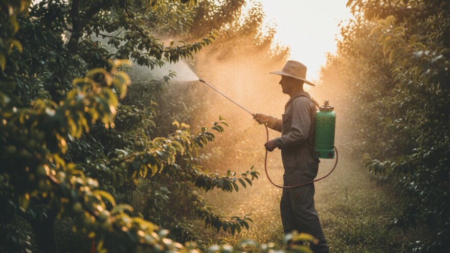 Zaštita koštičavog voća