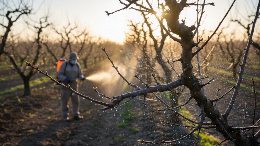 Zaštita koštičavog voća