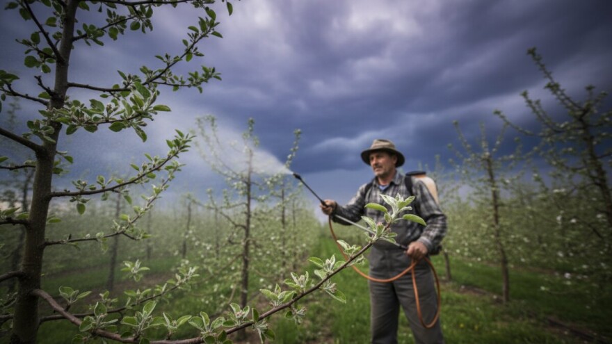Zaštita kruške i jabuke