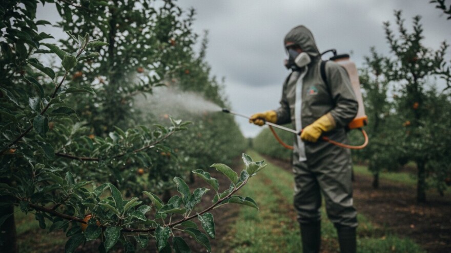 Zaštita kruške i jabuke od krastavost i mrljavosti!
