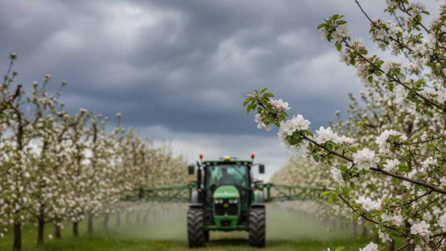 Zaštita kruške i jabuke od krastavosti
