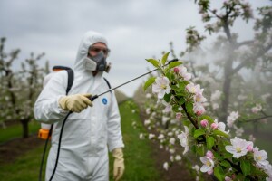 Zaštita kruške i jabuke od krastavosti