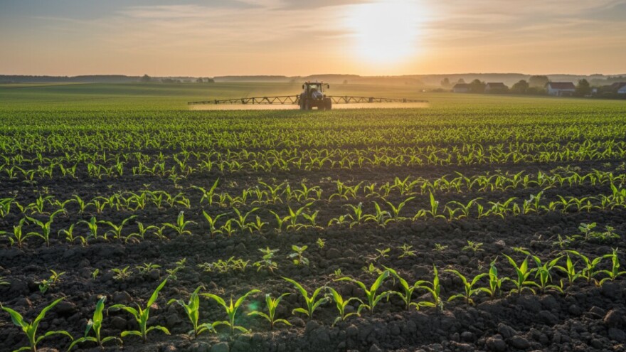 Zaštita kukuruza na području Podravine