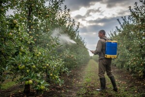 Zaštita nasada jabuka