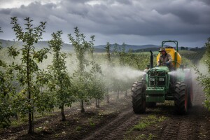 Zaštita nasada jabuka i krušaka
