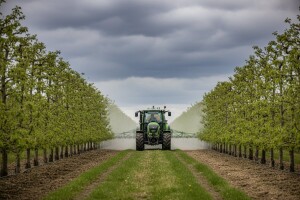 Zaštita nasada jabuka i krušaka