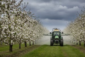 Zaštita nasada jabuka i krušaka