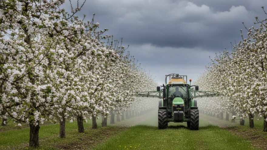 Zaštita nasada jabuka i krušaka