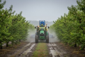 Zaštita nasada na zagrebačkom području