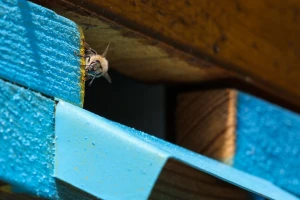 Kreće zaprašivanje komaraca, zaštitite pčele i gospodarstva