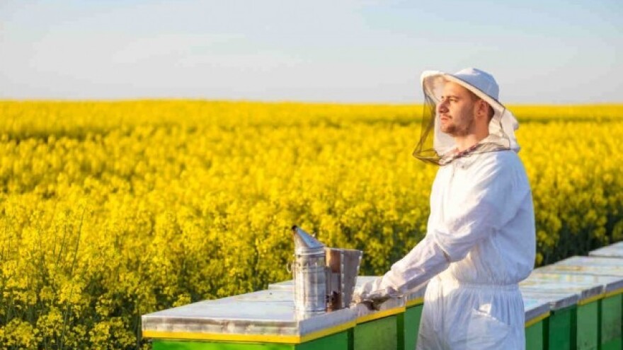 Ostvarena saradnja na zaštiti pčela od trovanja