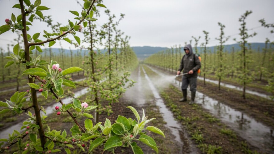 Zaštita plantažnih nasada jabuka i krušaka