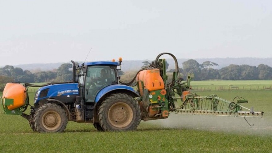 Obavezno na vreme zaštitite pšenicu!