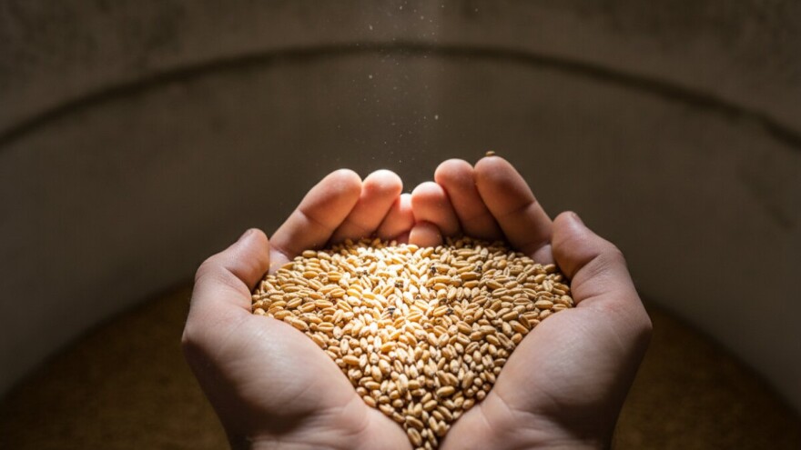 Zaštita silosnih prostora i žitarica od štetnika