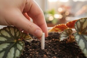 Zaštita sobnog bilja