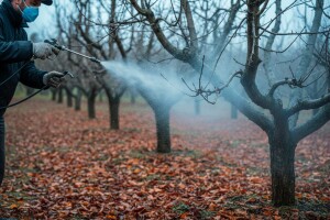 Zaštita voćaka protiv zaraze