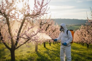 Zaštita voćaka u požeško-slavonskom kraju