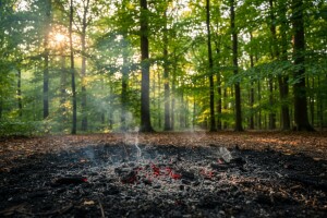 Zaštitimo šume od požara!