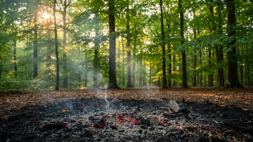 Zaštitimo šume od požara!