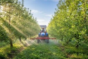 Zaštitite jabuke i kruške!