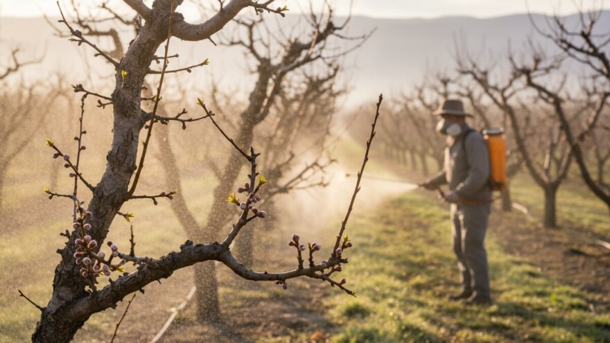 Zaštitite koštičavo voće!