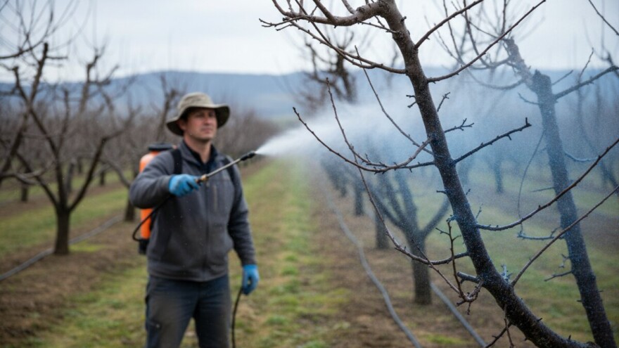 Zaštitite koštičavo voće!