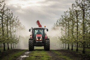 Zaštitite nasade jabuke i kruške!