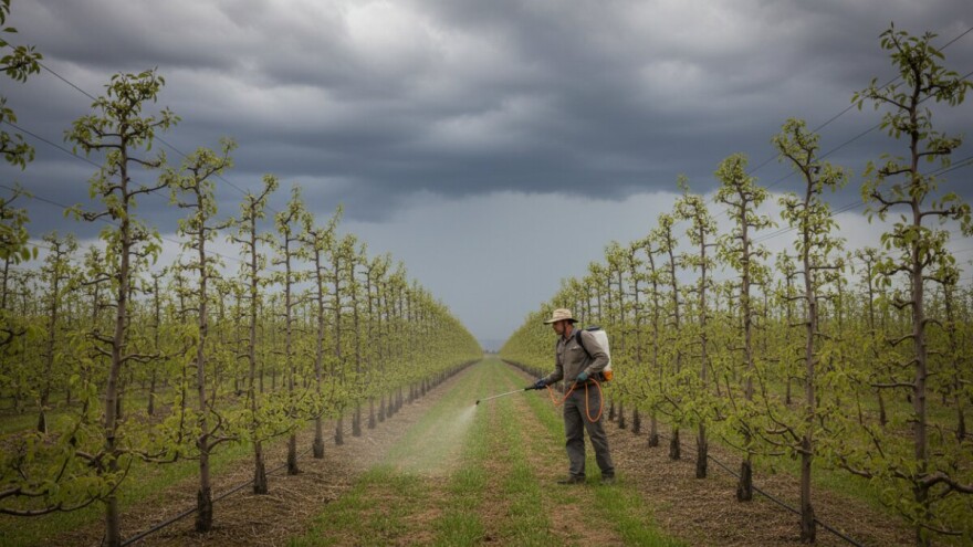 Zaštitite nasade jabuke i kruške!