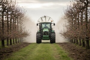 Zaštitite plantažne nasade jabuke i kruške!