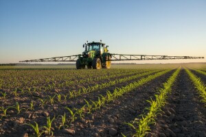 Zaštitite usjeve kukuruza!